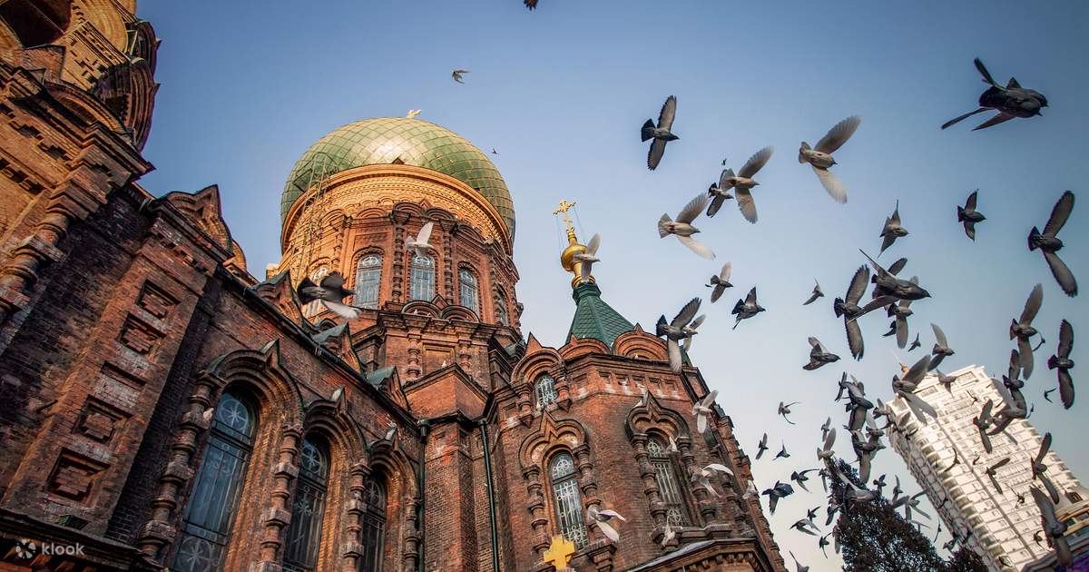 ハルビン、中国東北部：1日観光ツアー（6名限定のプレミアムグループ＋